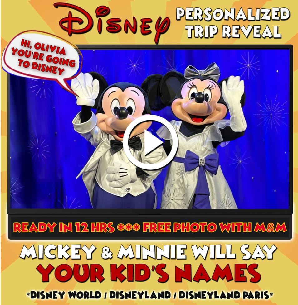 Theme park trip reveal video cover